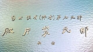 【香港三级】李小龙与我